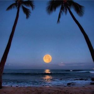 Meet your Posher, Jon